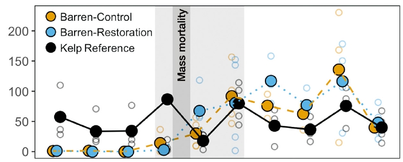 Sea urchin mass mortality rapidly restores kelp forest communities